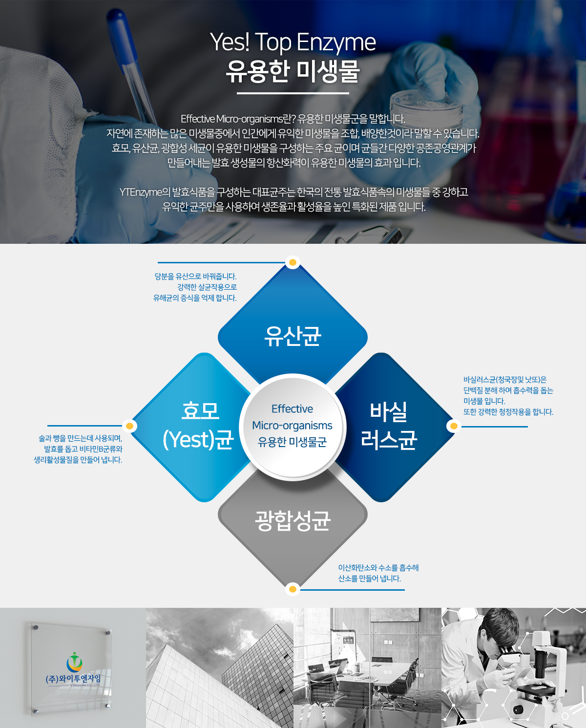 유용한 미생물