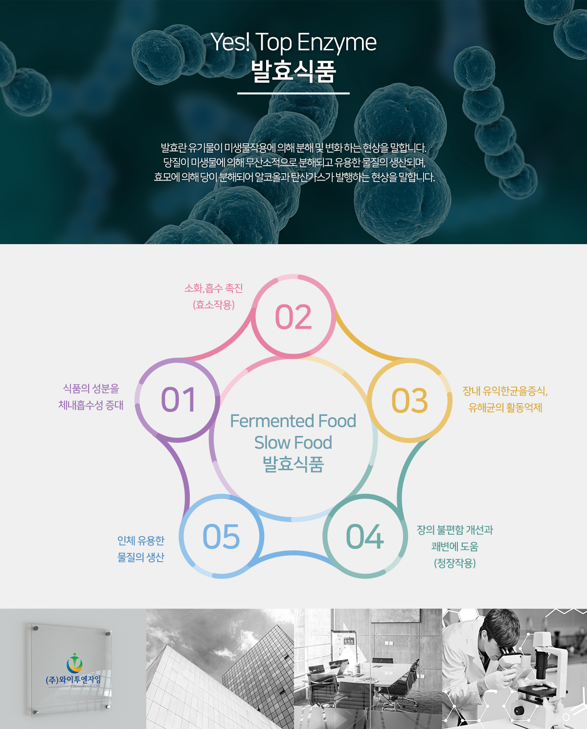 발효식품