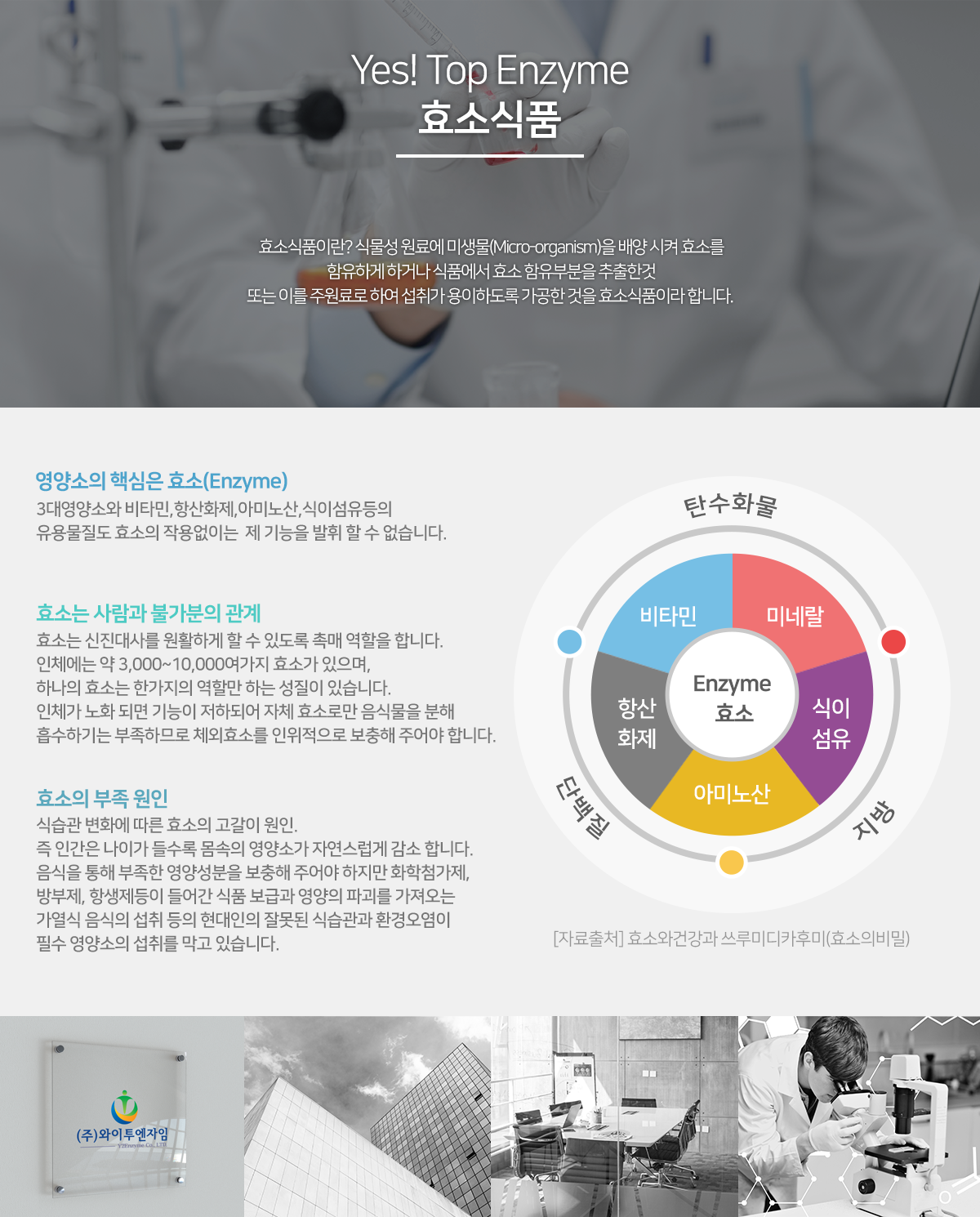 효소식품