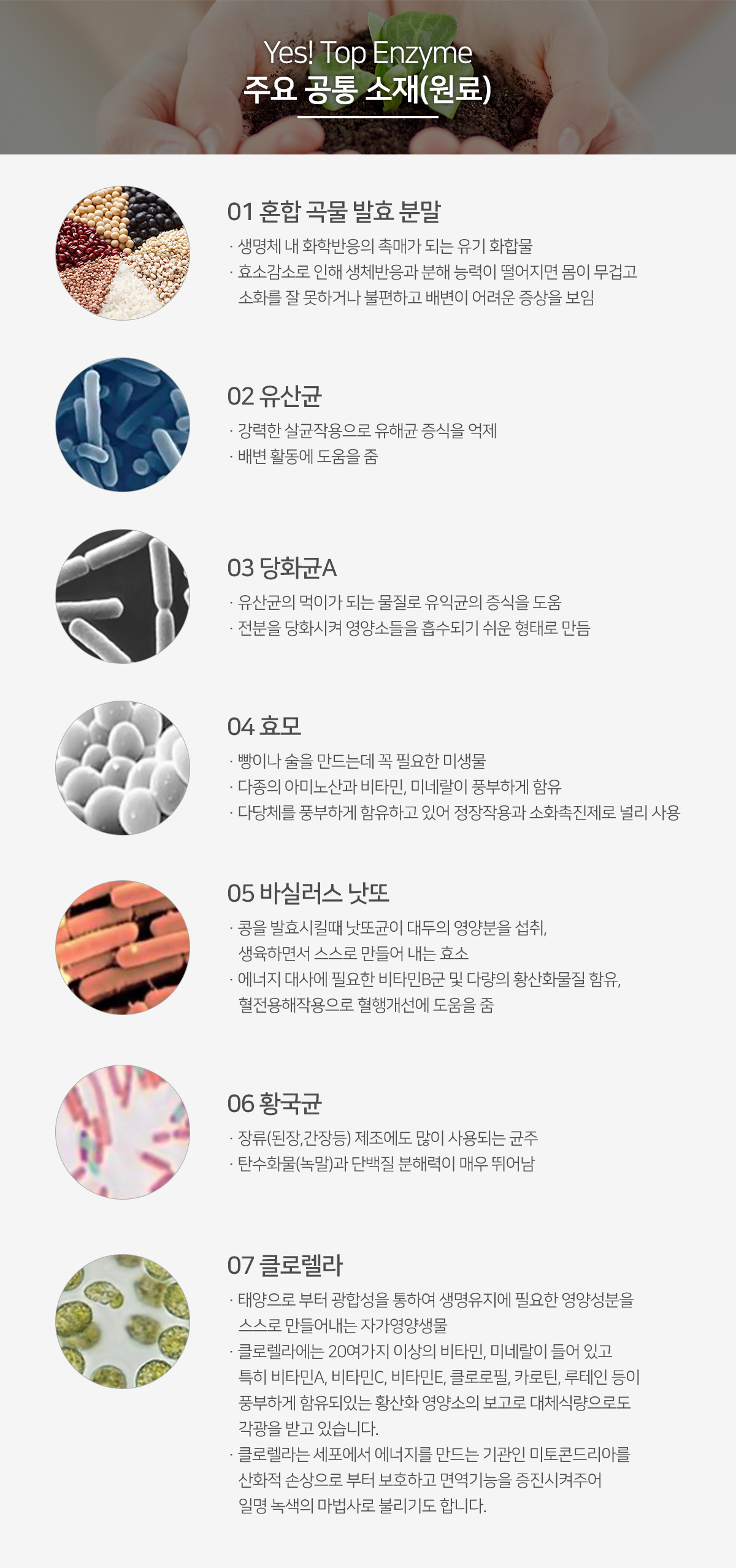 주요 공통 성분